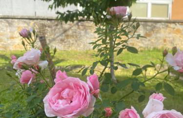 Casa Vacanza Alle Pratoline covered parking for bicycles and motorcycles - Foto 2