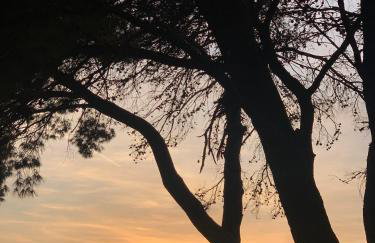 Apartman Mare Blace - Photo 25