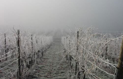 Ferienhaus hoch über dem Taubertal mit fantastischem Weitblick, Dachterrasse, 2000m2 großem Grundstück und Kamin - Foto 34