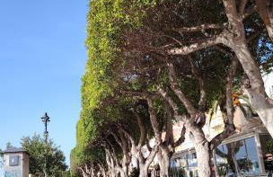 Casa Fiorenza - Da e Nònne - Foto 42