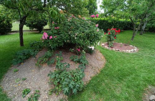 Les lits de la Loire - Photo 36