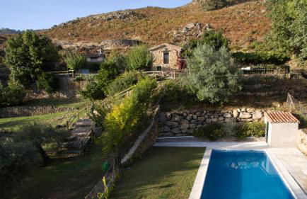 Abejas 1 de El Vergel de Chilla - Foto 50