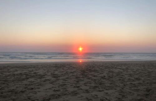 Marché des Capucins - Calme - Lumineux - Garage - Foto 56