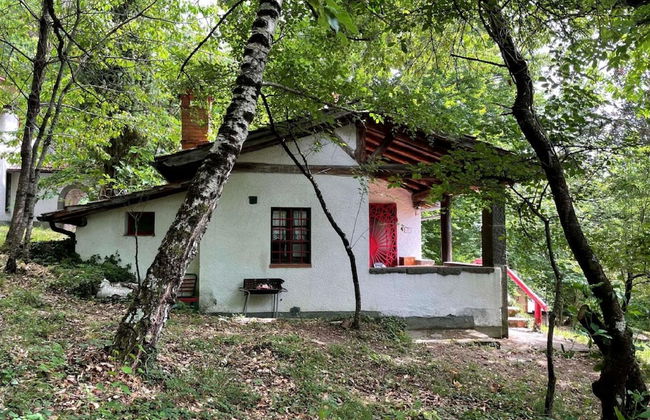 Vintage Vacation Home - Photo 37