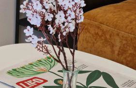 Kofinaki apartment 2 - Tychero Evros - Foto 18