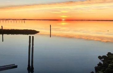 Apartments Delise - Foto 1