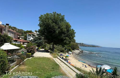 Olivia -Ελιά - Foto 35