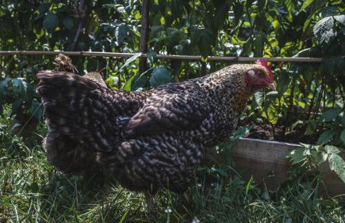 La Casa de Consuelo 3 - Foto 35