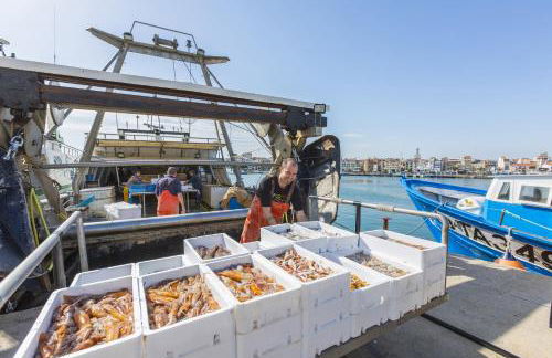 Apartamento Gavines - Photo 25