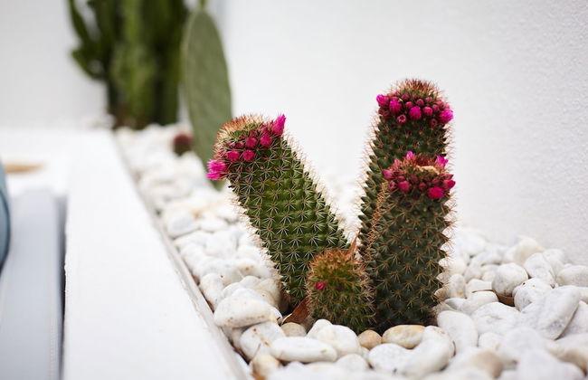 Casetta Zio Franco - Foto 37