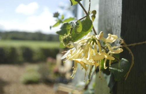 Lavender Lodge - Photo 11