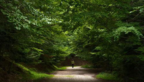 Partacua by BeValle - Foto 3