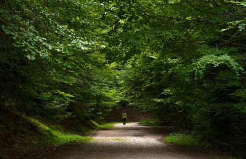 Casa Lluna by BeValle - Photo 23