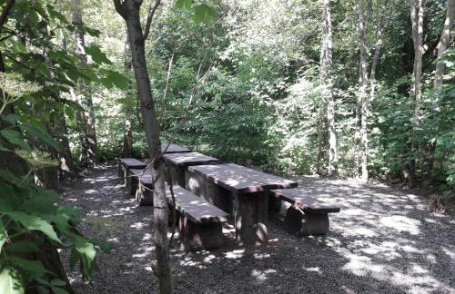 Apartament 59 , ranczoturystyka Bielawa Sudety - Foto 30