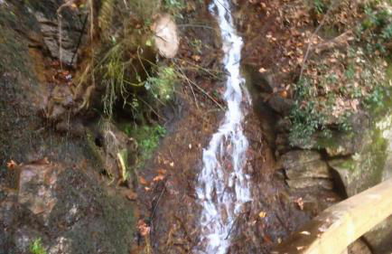 Casa do Avô - Foto 14