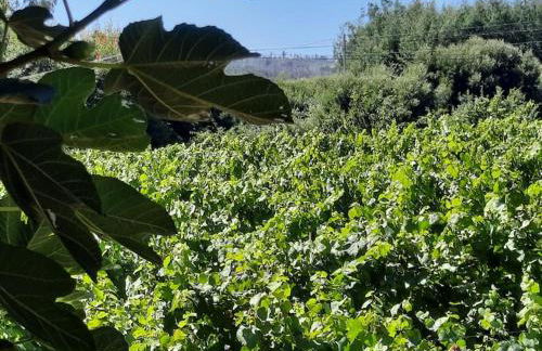 Casa do Mirante - Foto 23