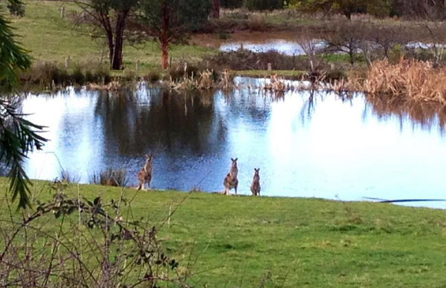 Australian Home Away at Wonga Park Brushy Creek - Foto 21