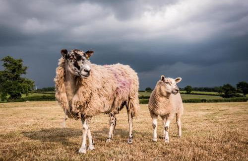 4 Bed in Carnforth oc-54457 - Foto 40