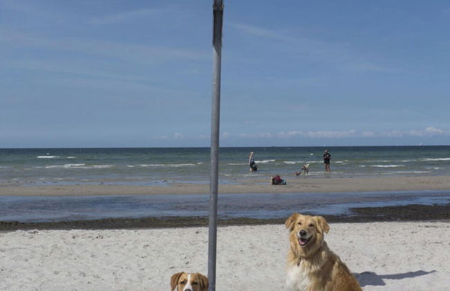 Holiday Home Friedchen - Foto 29