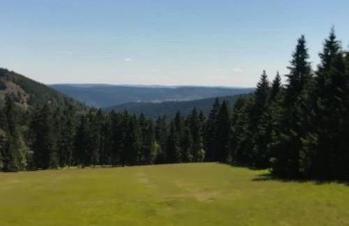 Haus Linde Frauenwald am Rennsteig - Foto 25