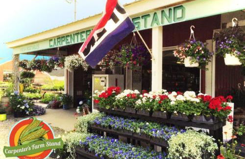 8 bedroom seacoast manor with amazing views - Foto 46