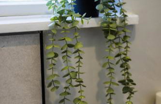 Durham Hideaway - Photo 38