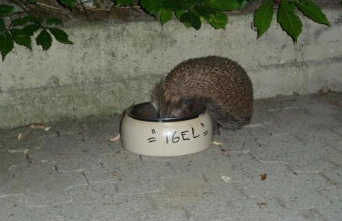 Helle 70 qm Ferienwohnung mit herrlichem Blick - Foto 40