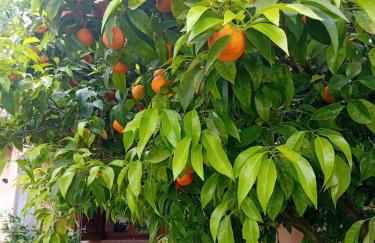 Casa Pratolungo - Foto 15