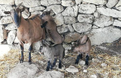 Le Grotte di Sileno - Foto 46