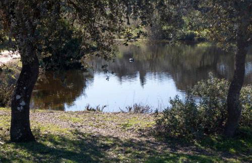 Casa Cortijo en Dehesa Sierra León - Photo 35
