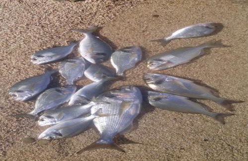 Holiday Home By The Sea - Foto 63