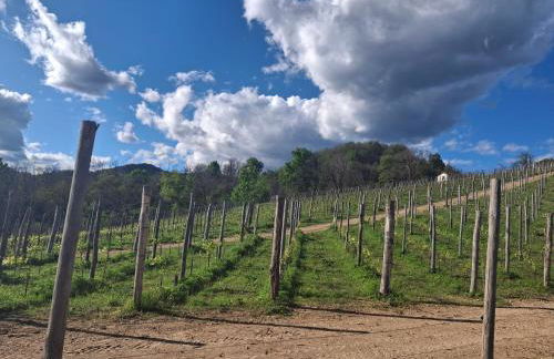 La ca' dal Tunec - Foto 23