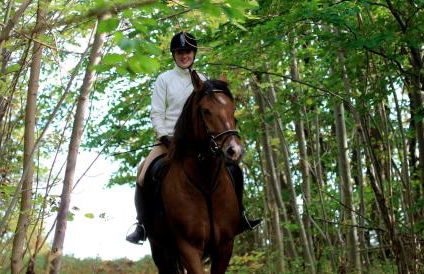 Landgasthof Probstei Zella - Foto 37