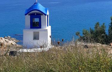 Studio Wilem - Foto 50