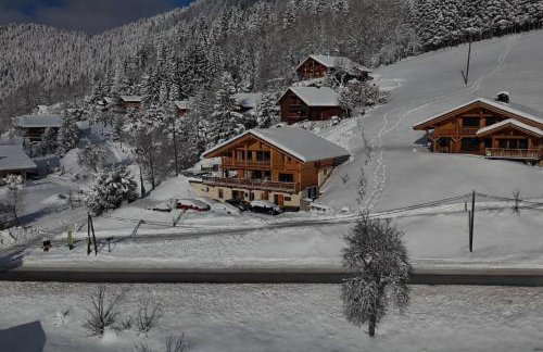 Chalet Serbijanka Alpine Retreat with Hammam Sauna and Jacuzzi for 14 Gueststs - Foto 51