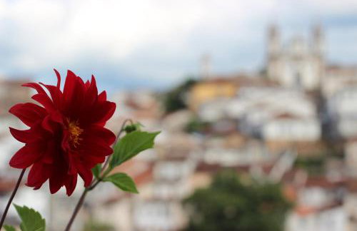 Alquimia House - Photo 16