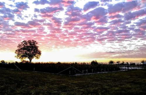 Rustic Tiny House Rental for Weekend Getaways from Dallas - Foto 29