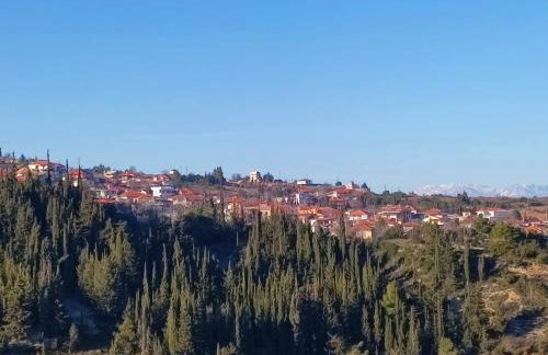 Sto Dimeiko - Foto 18