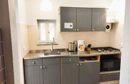 Quinta dos Amigos - Foto 112