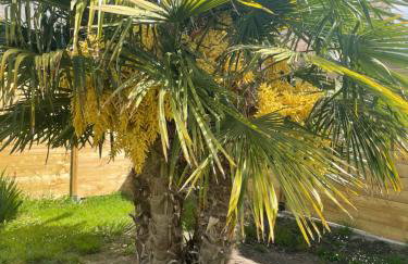 Gîte Les Eaux du Moulin piscine chauffée et jacuzzi - Foto 69