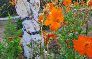 EVIA RIVIERA - Photo 57