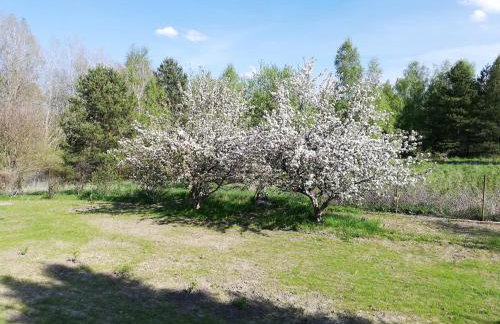 Przystanek Kozia Góra - Foto 58