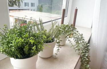 MEGHA Living - 2 Zimmer Appartments mit Küche - Zentral - Foto 22