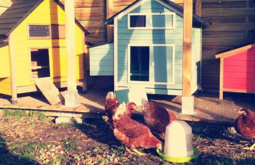 L'étape du moulin - Foto 22