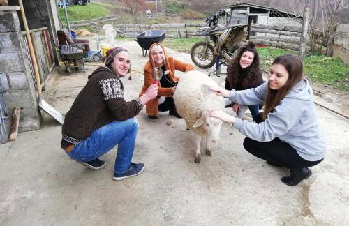 Farm stay Synergia - Hiden treasure - Photo 15