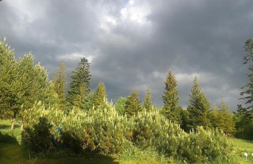 2chałupy - apartamenty w Soli - Foto 72