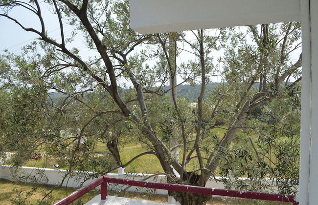 Zeytin Apart Otel & Aquapark - Photo 13