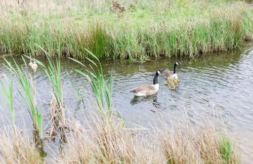 Lavender Lodge - Foto 36