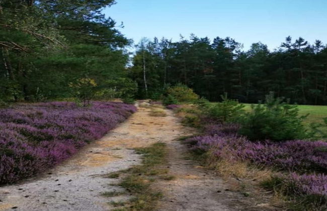 Modern Holiday Home With Shared Swimming Pool in Mittelndorf - Foto 76