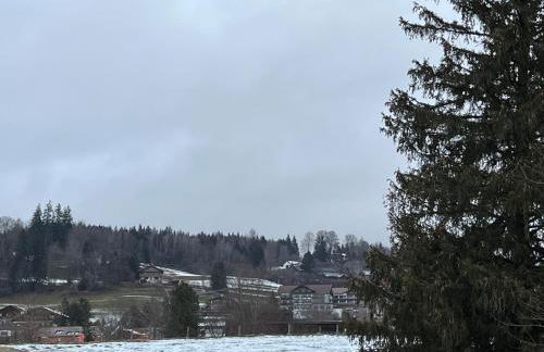Vitusfort Urlaub im Allgäu - Ferienwohnungen & Themenzimmer in Hopfen am See - Foto 47